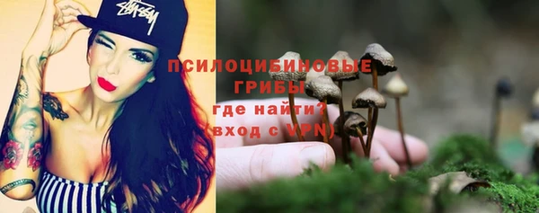 ешки Абинск